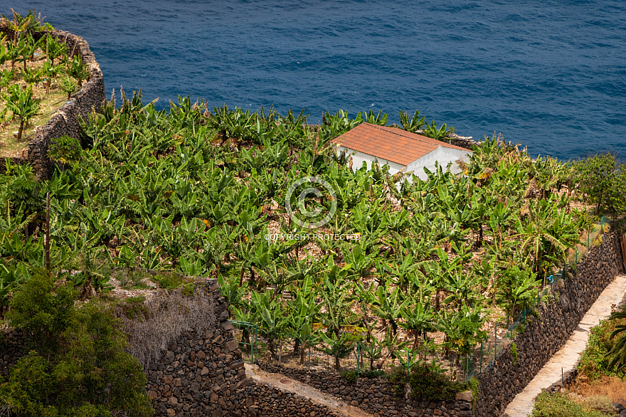 Agulo - La Gomera