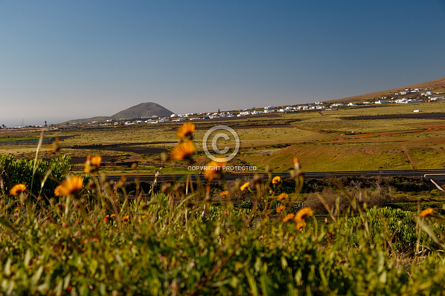 On the Road - Lanzarote