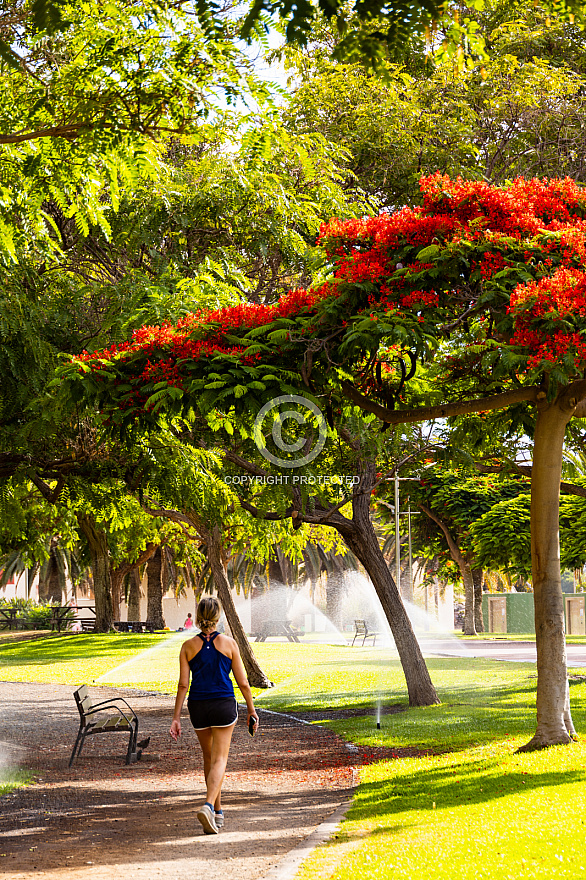 Parque del Sur en Campo Internacional Maspalomas