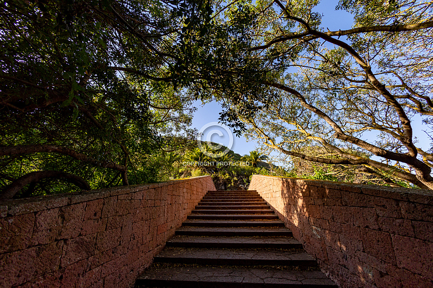 Jardín Botánico Canario Viera y Clavijo