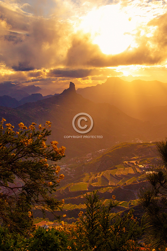 Roque Bentayga at sunset