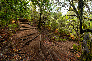 Barranco del Cedro - La Gomera