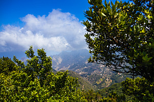 Mirador Pico del Inglés: Tenerife