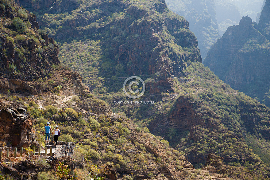 Barranco del Infierno - Tenerife