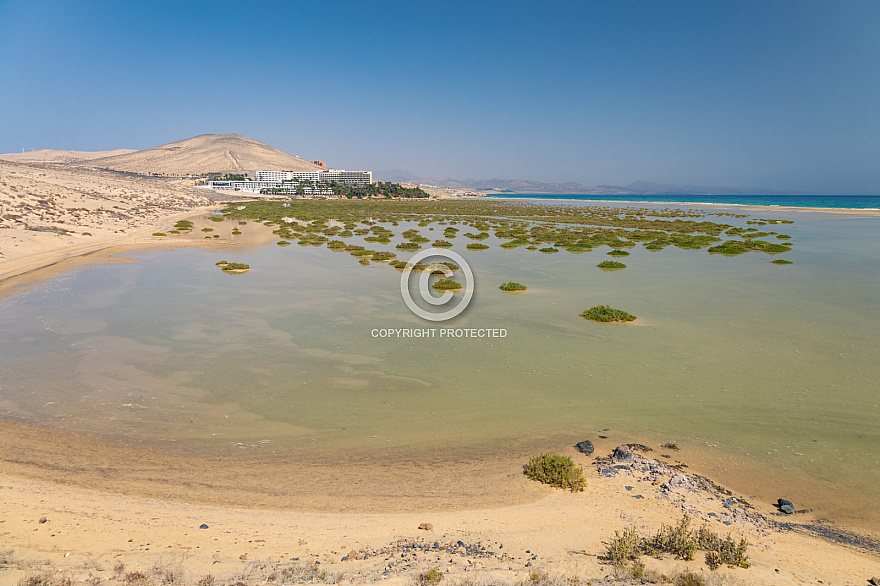 Playa y Laguna de Sotavento - Fuerteventura