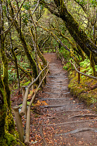 Barranco del Cedro - La Gomera