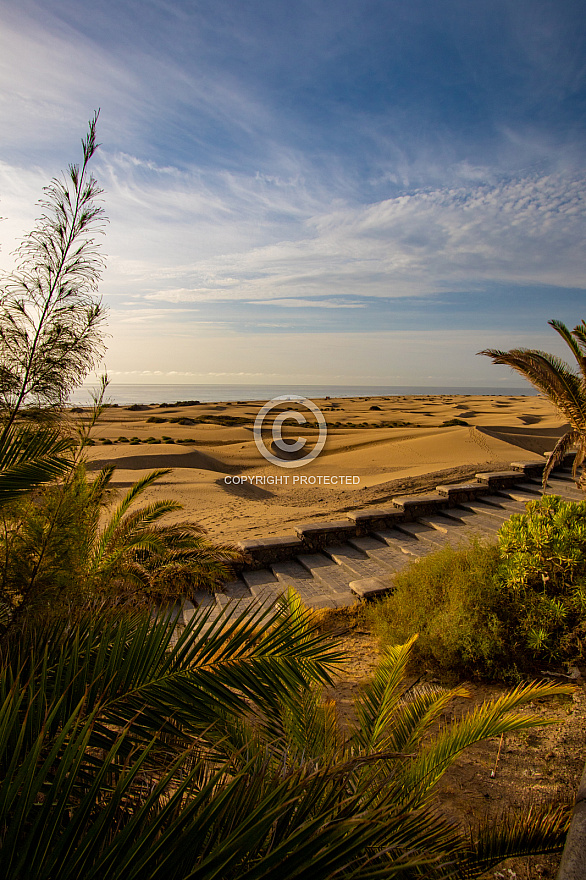 Maspalomas Dunes