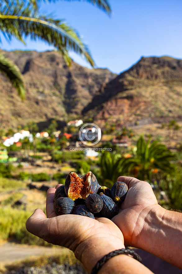 La Gomera: Valle Gran Rey