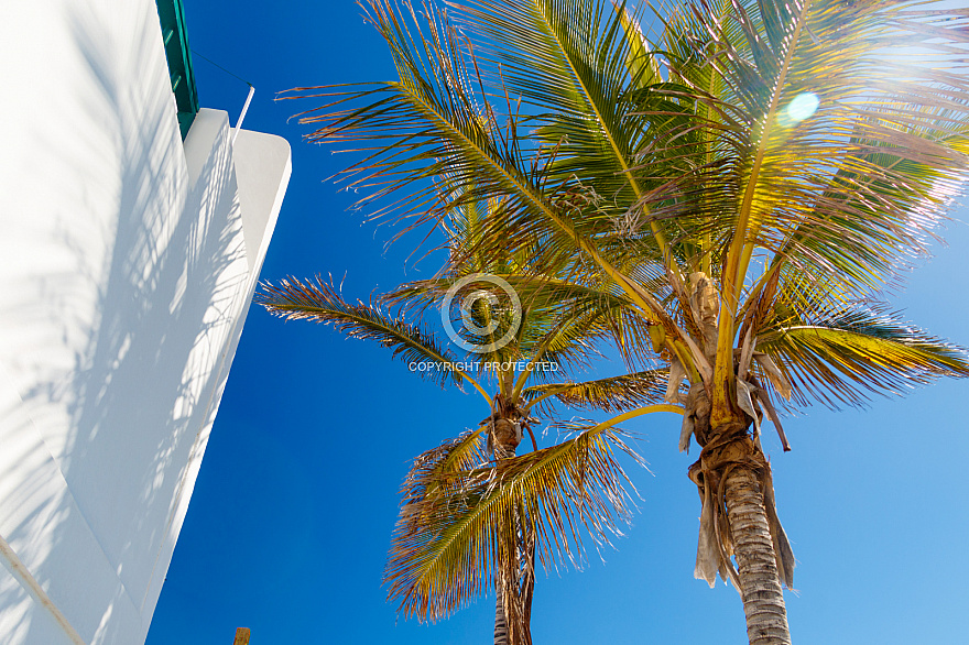 Arrieta - Lanzarote