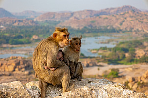 Hampi - India