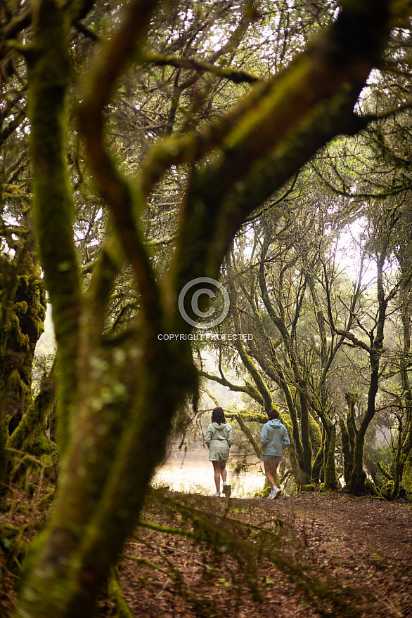 La Llanía - El Hierro