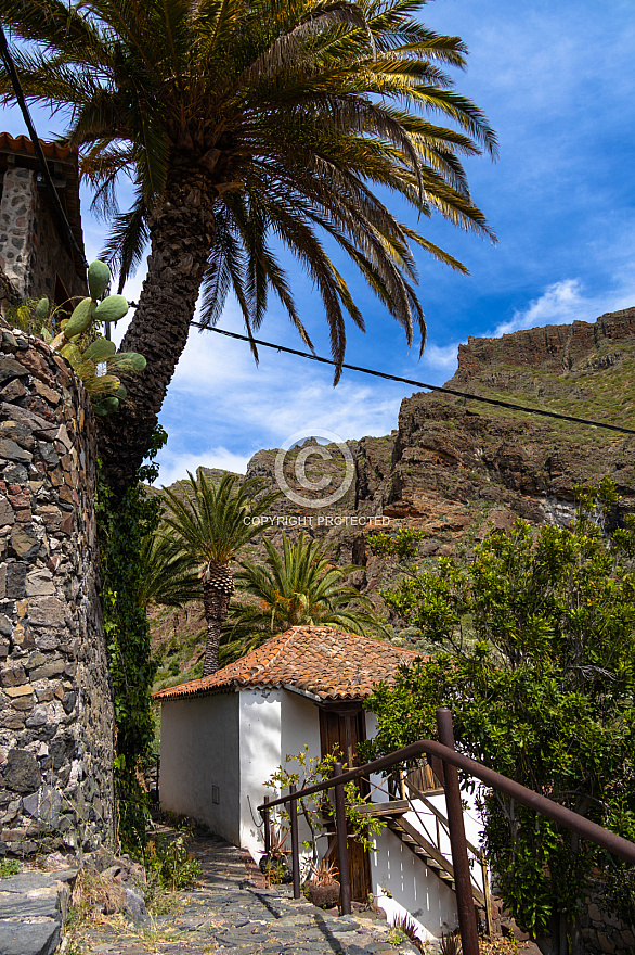 Tenerife: Masca