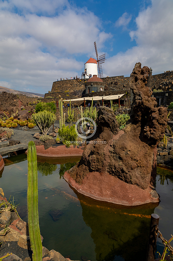 Jardín de Cactus - Lanzarote