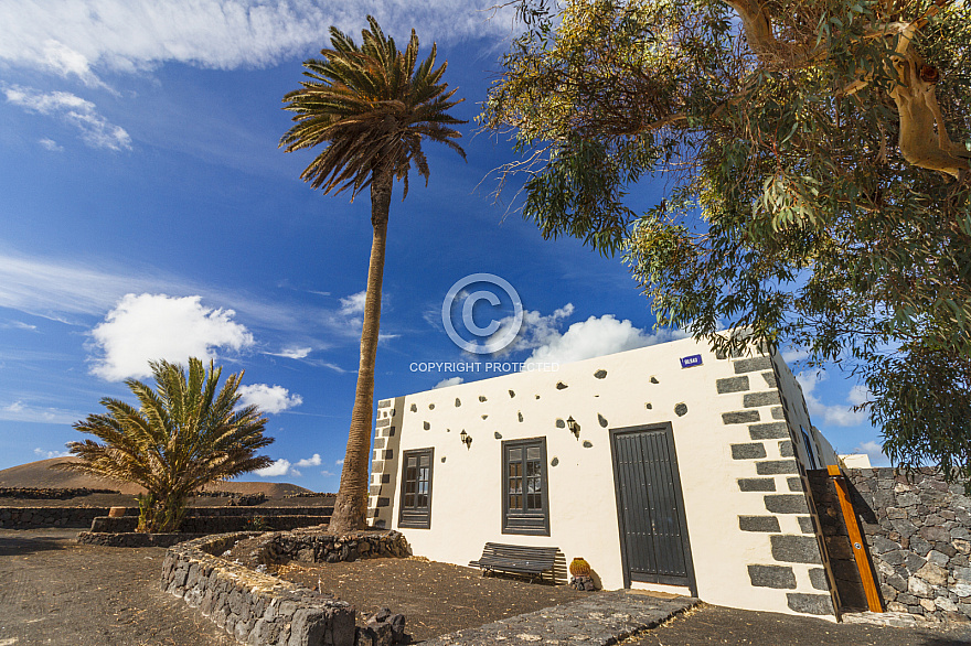 Bodegas Martinón - Lanzarote