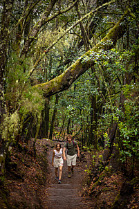 El Cedro - Garajonay