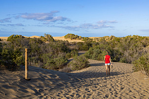 Dunas de Maspalomas: Senderos Y Miradores