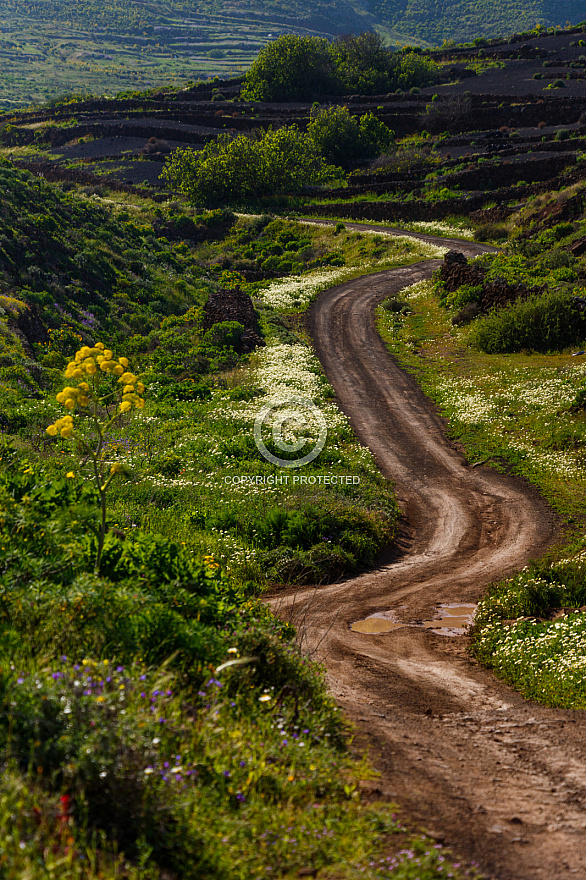 On the Road - Lanzarote