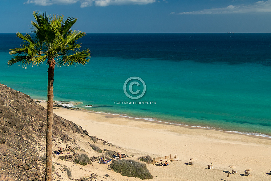 Playa Esquinzo (sur) - Fuerteventura