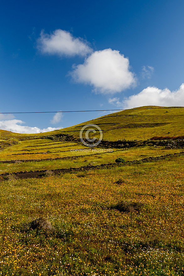 On the Road - Lanzarote