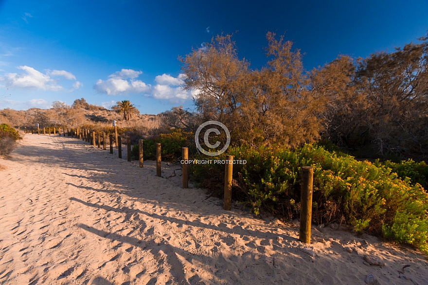 Maspalomas