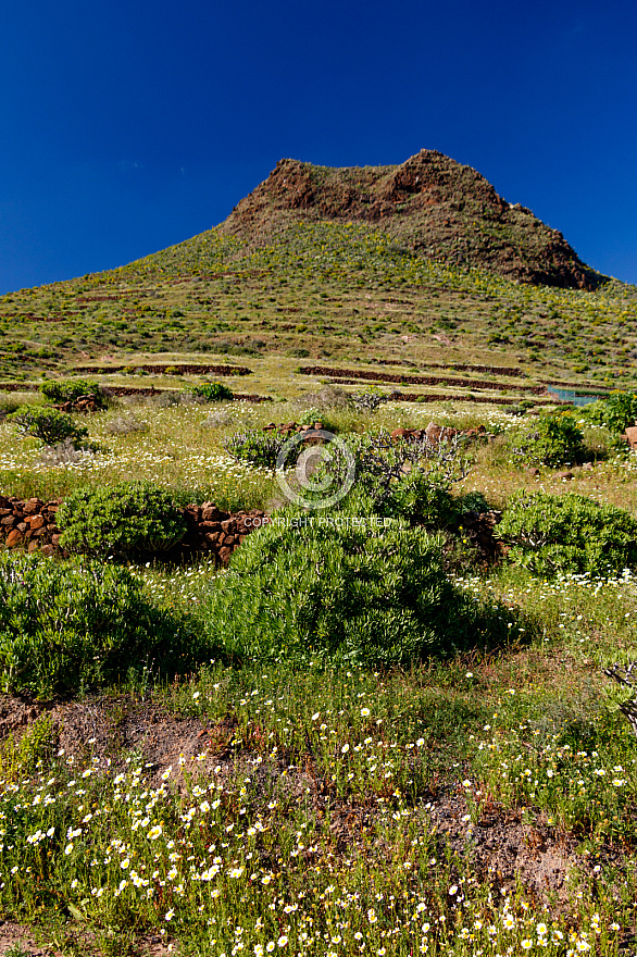 On the Road - Lanzarote