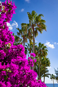 costa calma - fuerteventura