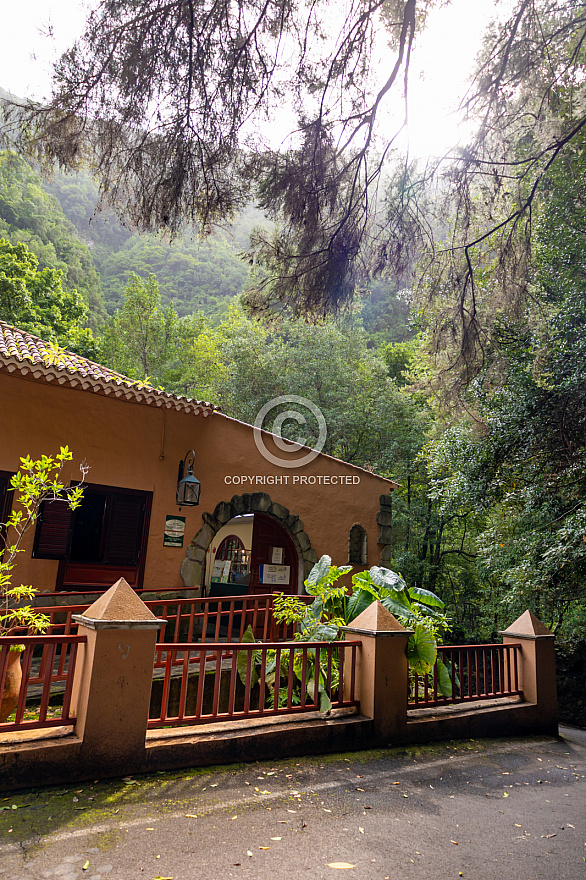 Bosque de los Tilos (Cascada - Waterfall) - La Palma