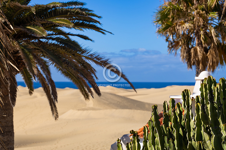 Dunas de Maspalomas: Senderos Y Miradores