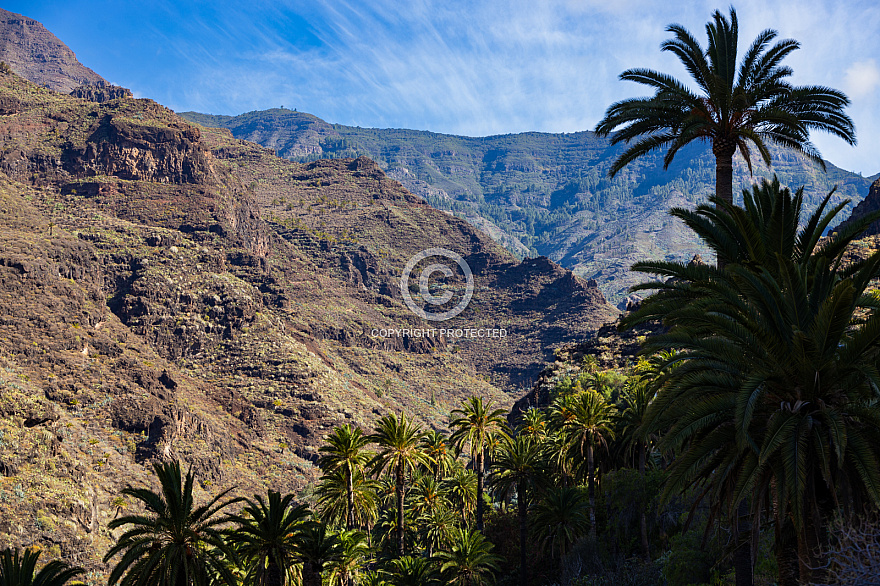 La Gomera: Barranco de Santiago