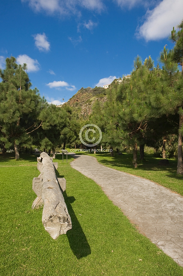 Jardin Canario