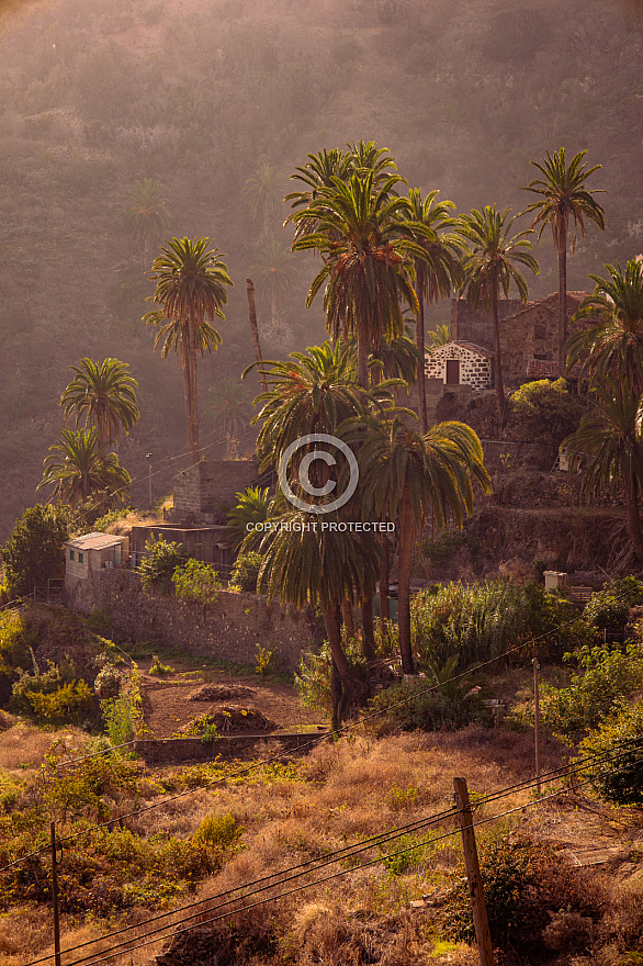 Macayo - Vallehermoso - La Gomera