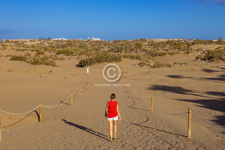 Dunas de Maspalomas: Senderos Y Miradores