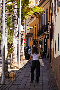 La Concepción: Tenerife