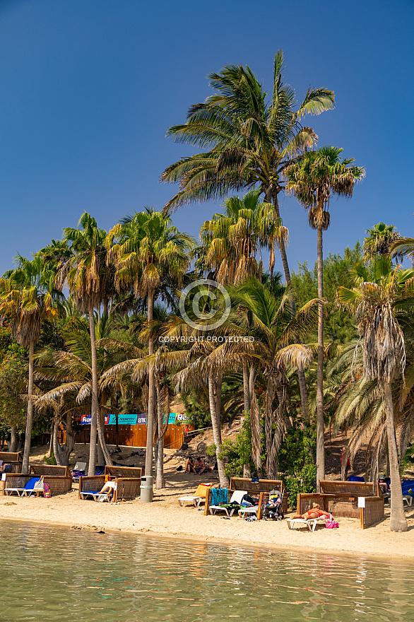 Playa y Laguna de Sotavento - Fuerteventura