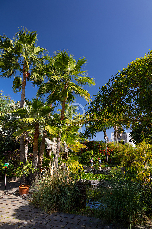 Jardín Sitio Litre - Puerto de la Cruz - Tenerife