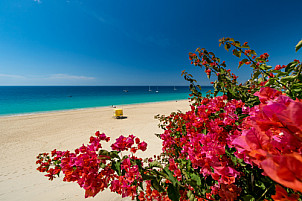 Morro Jable - Fuerteventura