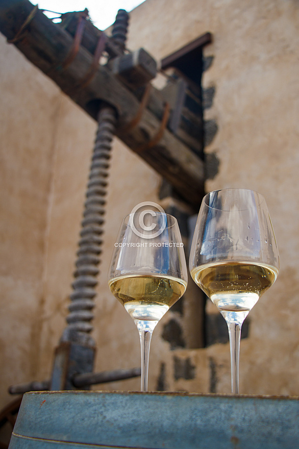 Bodegas La Florida - Lanzarote