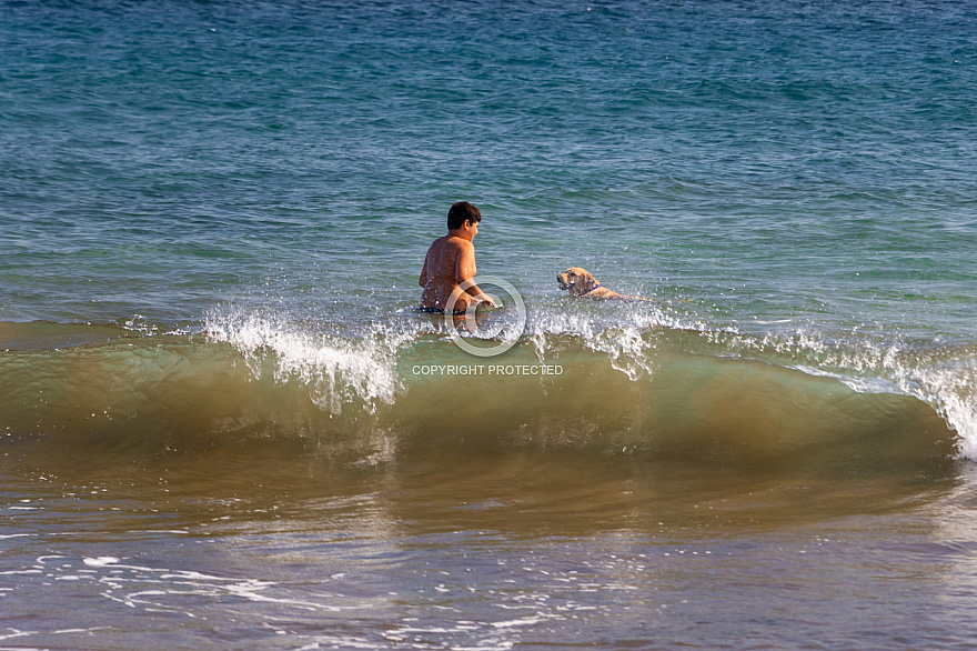 Playa del Horno - mascotas - Tenerife