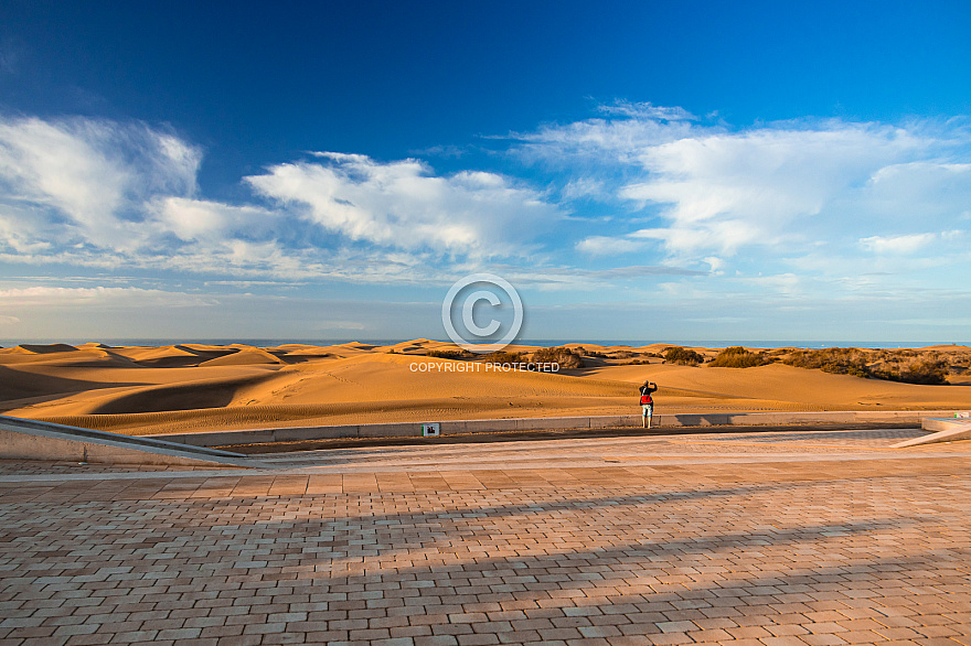 Dawn at Maspalomas Dunes