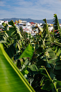 aquaducto de Argual - Los Llanos - La Palma