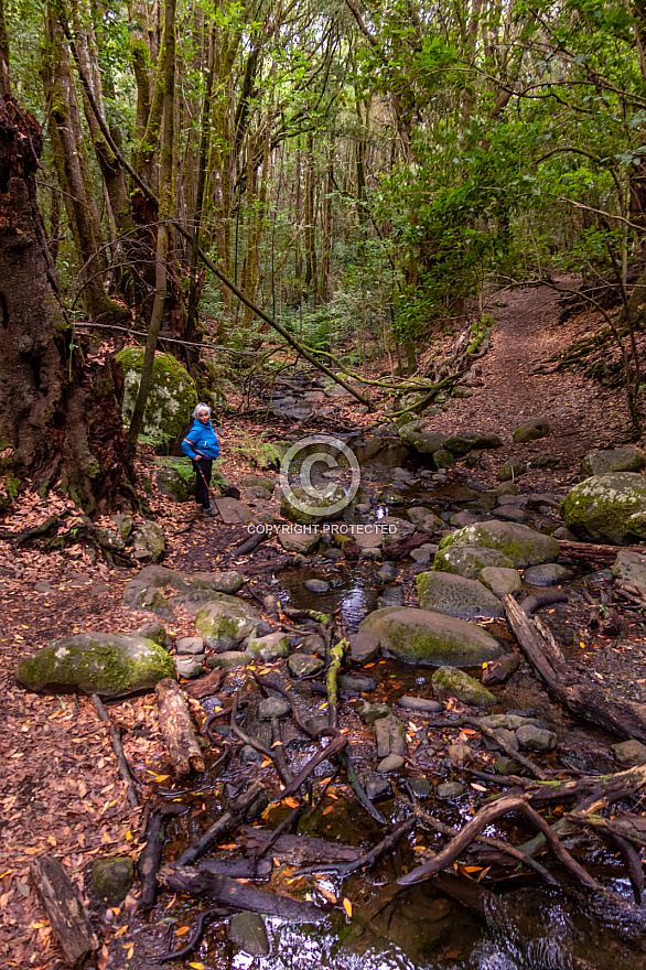 Barranco del Cedro - La Gomera