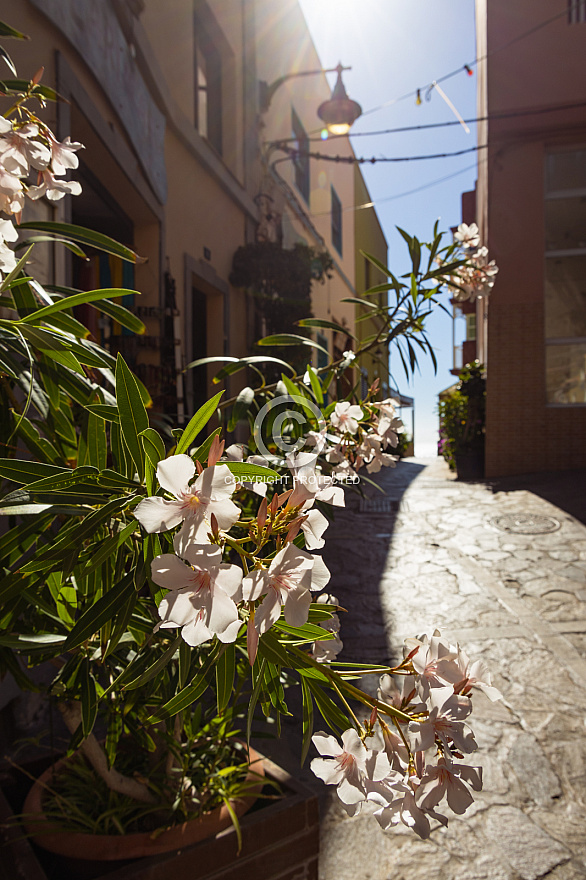 La Gomera: Valle Gran Rey Las Vueltas