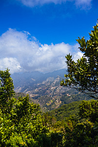 Mirador Pico del Inglés: Tenerife