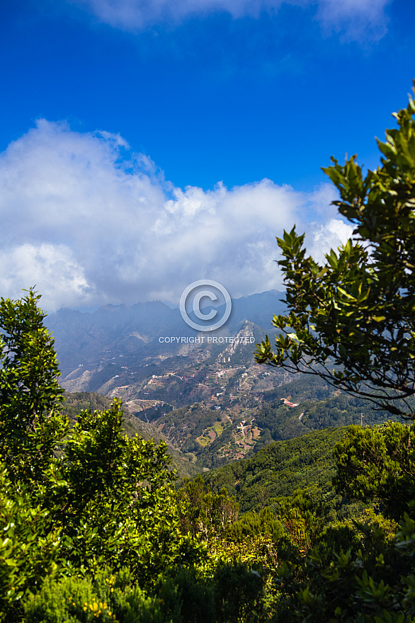 Mirador Pico del Inglés: Tenerife