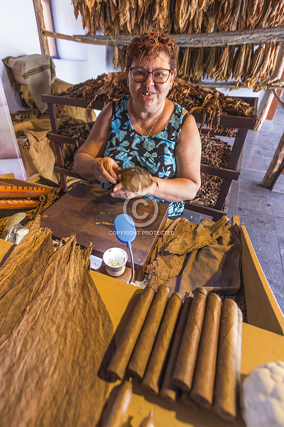 Museo del Puro Palmero La Palma