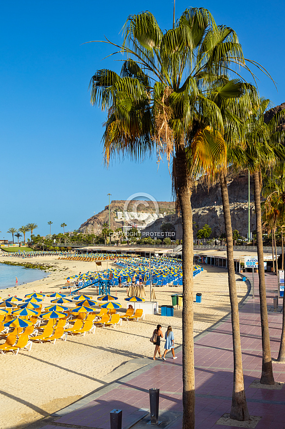 Playa de Amadores