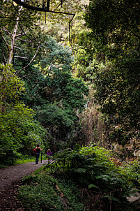 Cubo de la Galga - La Palma