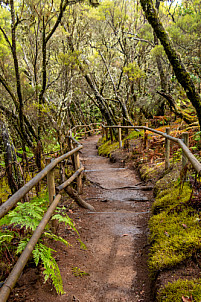 Barranco del Cedro - La Gomera