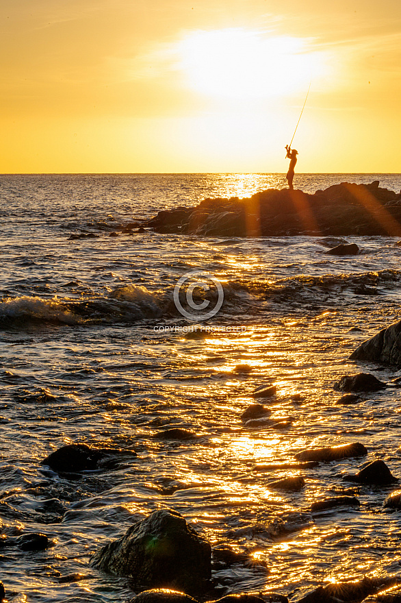 tasartico - gran canaria