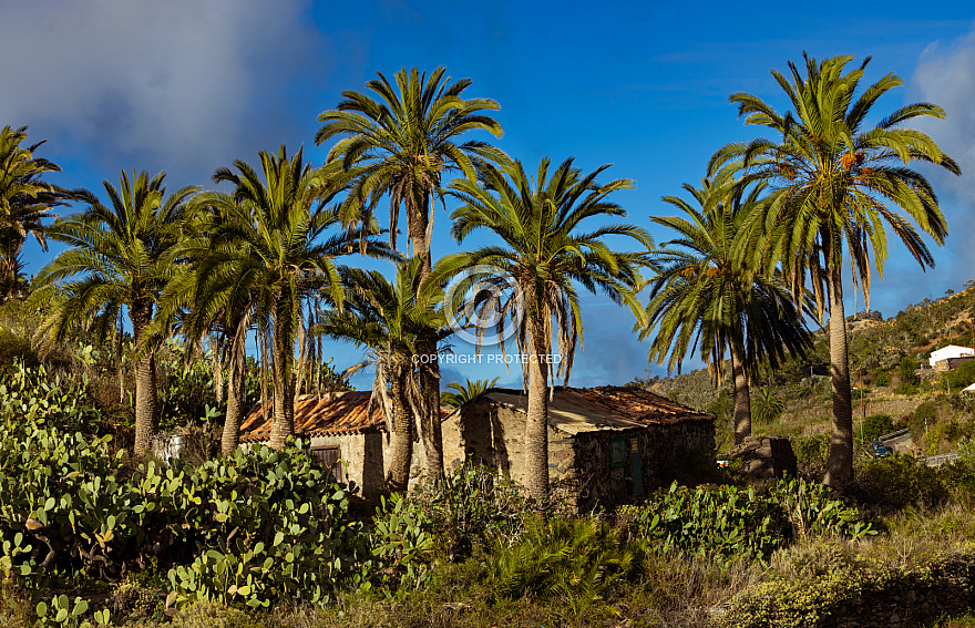 La Gomera: Las Rosas